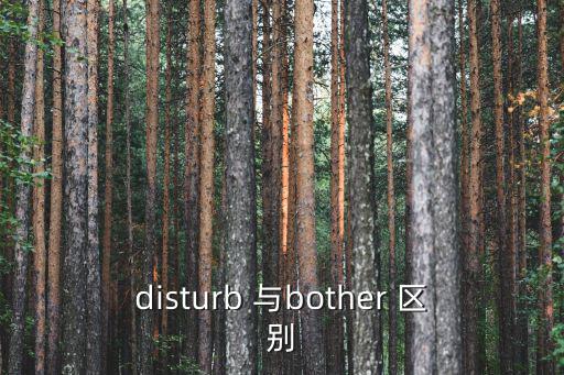 disturb 與bother 區別