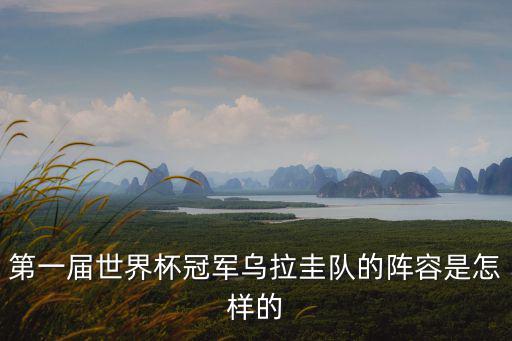 第一屆世界杯冠軍烏拉圭隊的陣容是怎樣的