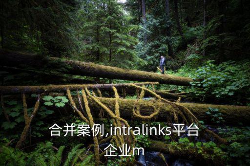 企業合并案例,intralinks平臺企業m