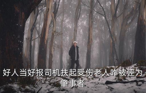 好人當好報司機扶起受傷老人咋被誣為肇事者