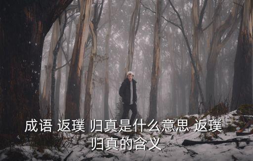 成語 返璞 歸真是什么意思 返璞 歸真的含義