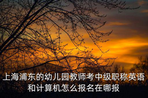 上海浦東的幼兒園教師考中級職稱英語和計算機怎么報名在哪報