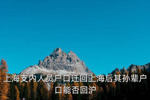 上海支內人員戶口遷回上海后其孫輩戶口能否回滬