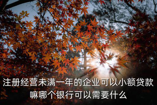 注冊(cè)經(jīng)營(yíng)未滿一年的企業(yè)可以小額貸款嘛哪個(gè)銀行可以需要什么