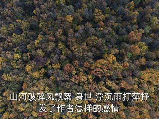 山河破碎風(fēng)飄絮 身世 浮沉雨打萍抒發(fā)了作者怎樣的感情