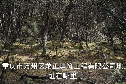 重慶市萬州區龍正建筑工程有限公司地址在哪里