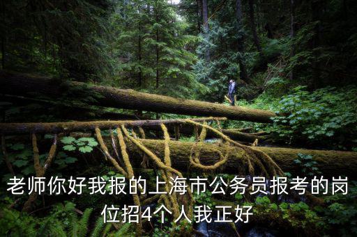 老師你好我報的上海市公務員報考的崗位招4個人我正好