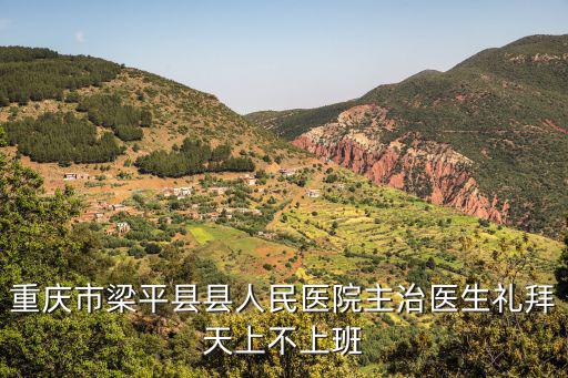 重慶市梁平區鄧元科，重慶市梁平縣2009年財政收入是多少