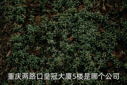 重慶市納德藤澤投資有限公司，重慶兩路口皇冠大廈5樓是哪個公司