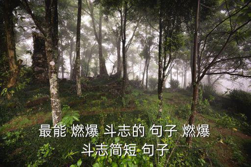  最能 燃爆 斗志的 句子 燃爆 斗志簡短 句子