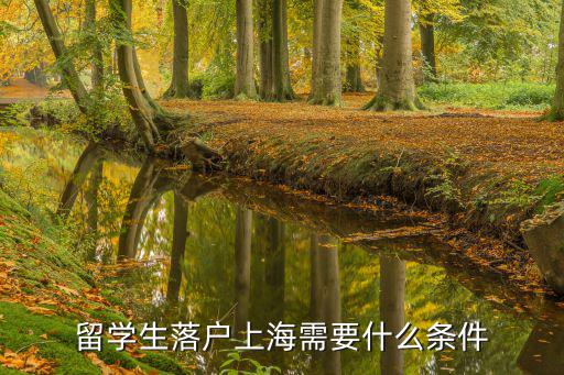 留學生落戶上海需要什么條件