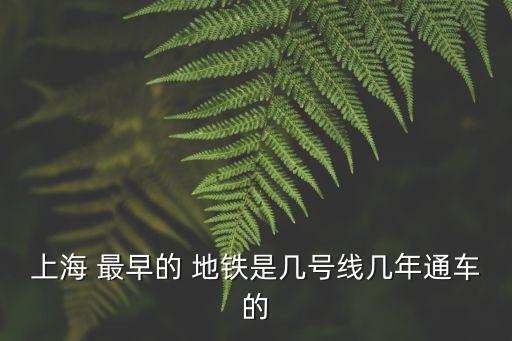 最早的地鐵,上海軌道交通1號線上海地鐵初步成型