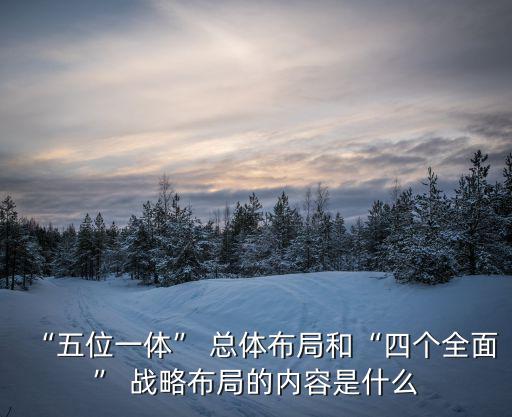 總體戰略,企業戰略管理層次劃分職能戰略和業務戰略