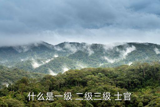 二級士官,二級士官退役不等同轉業