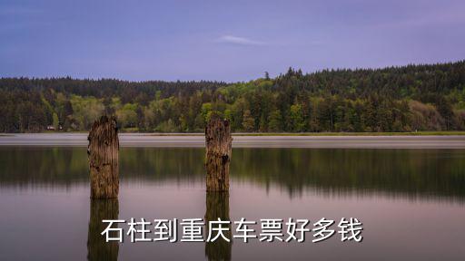 石柱到重慶車票好多錢