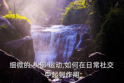 細微的 頭部 運動,如何在日常社交中起到作用