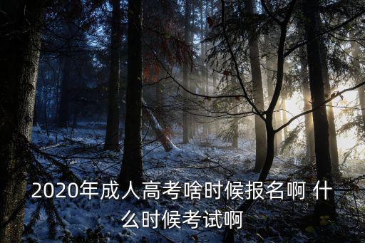 2020年成人高考啥時候報名啊 什么時候考試啊