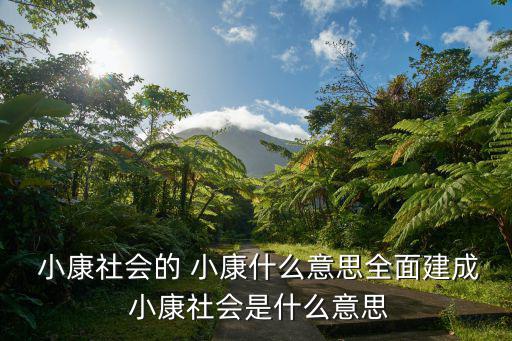 小康,三十年規劃綱要中的小康指什么?