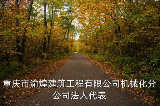 重慶市渝煌建筑工程有限公司機械化分公司法人代表