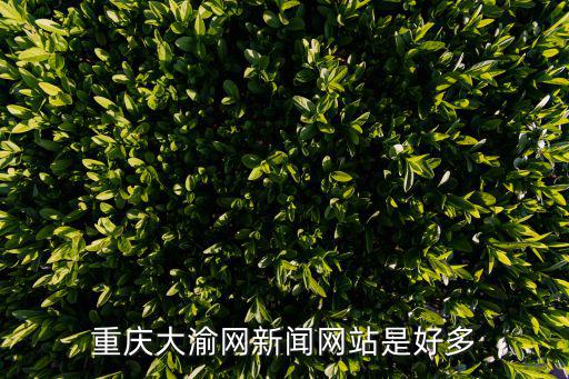 重慶大渝網(wǎng)新聞網(wǎng)站是好多