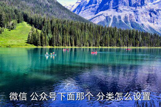 微信 公眾號下面那個 分類怎么設置