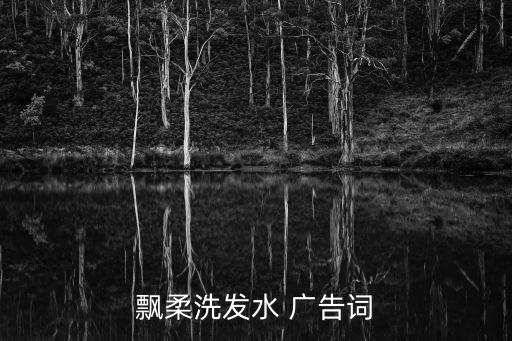 海飛絲廣告詞,飄柔洗發水廣告詞11