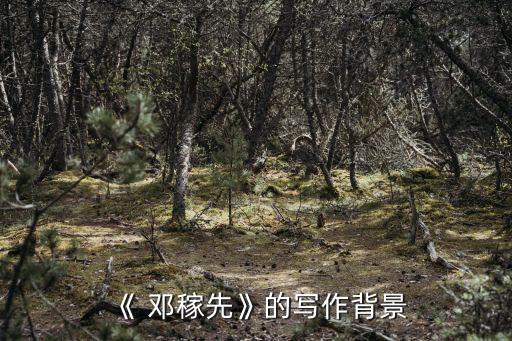 鄧稼先的資料,鄧稼先百科名片中國兩彈元老