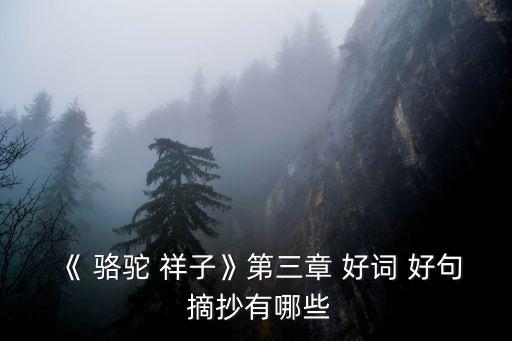 駱駝祥子好詞好句摘抄,駱駝祥子"第三章:一刀兩斷，報恩負義