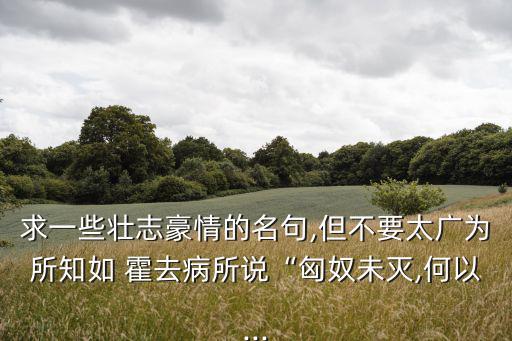 求一些壯志豪情的名句,但不要太廣為所知如 霍去病所說“匈奴未滅,何以...