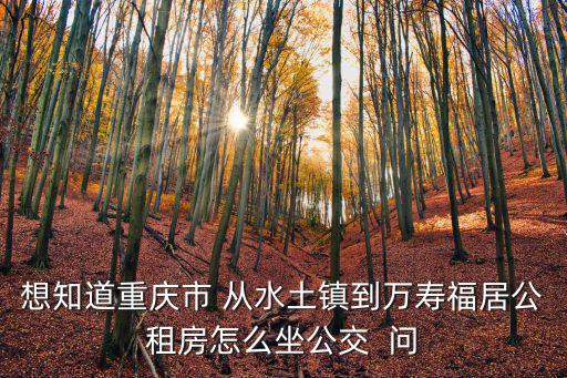 想知道重慶市 從水土鎮(zhèn)到萬壽福居公租房怎么坐公交  問