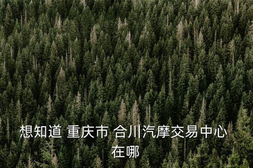 想知道 重慶市 合川汽摩交易中心 在哪