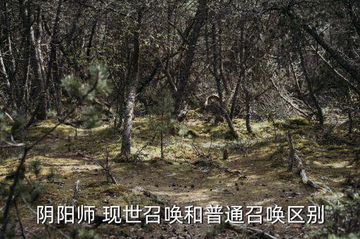 現世召喚,陰陽師現世和普通召喚有何區別?