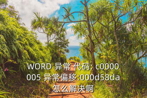 WORD 異常 代碼: c0000005 異常偏移:000d58da怎么解決啊