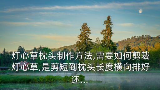 燈心草能治失眠嗎,燈芯草燈芯用了幾個世紀在藥房抽屜還能找到