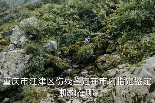 重慶市江津區傷殘鑒定在市內指定鑒定機構在哪