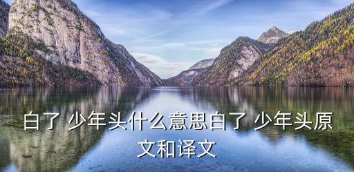 白了少年頭,少年頭，空空悲傷