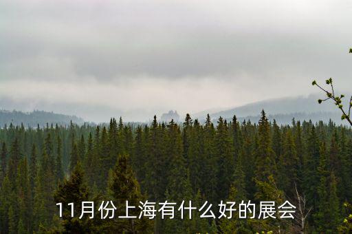 11月19日上海展會，上海最近有什么展覽嗎
