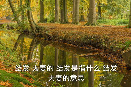  結(jié)發(fā) 夫妻的 結(jié)發(fā)是指什么 結(jié)發(fā) 夫妻的意思