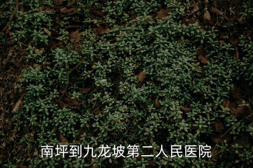 重慶市九龍坡區半山二村，重慶市九龍坡第二人民醫院位于哪里