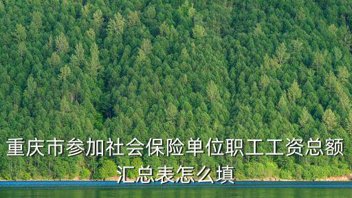 重慶市參加社會(huì)保險(xiǎn)單位職工工資總額匯總表怎么填