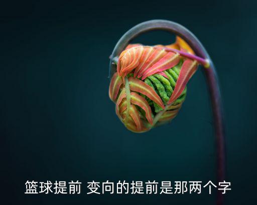 體前變向,首先要有資本做好體前變向球準備迎戰對手
