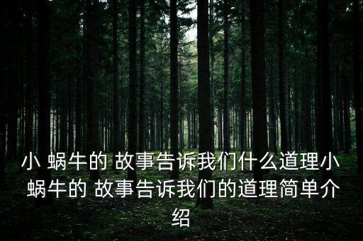 小 蝸牛的 故事告訴我們什么道理小 蝸牛的 故事告訴我們的道理簡單介紹