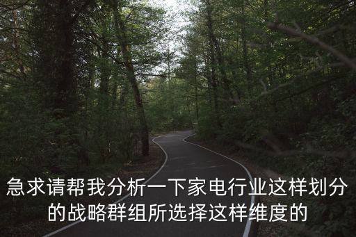 急求請幫我分析一下家電行業這樣劃分的戰略群組所選擇這樣維度的