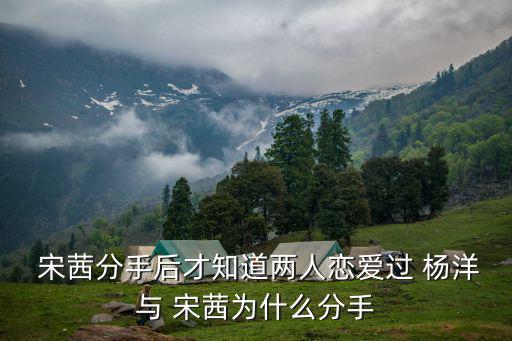  宋茜分手后才知道兩人戀愛過 楊洋與 宋茜為什么分手