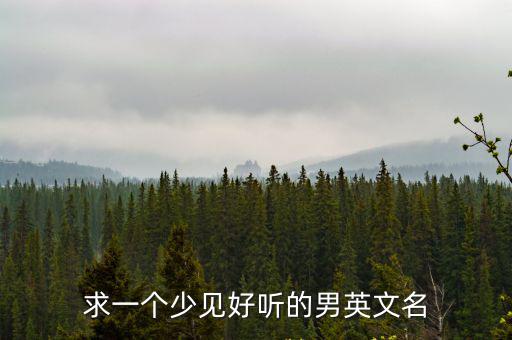 求一個少見好聽的男英文名