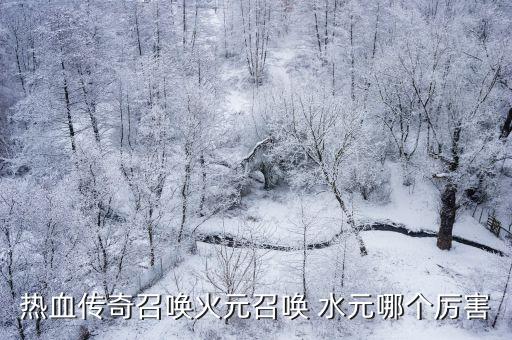 熱血傳奇召喚火元召喚 水元哪個厲害