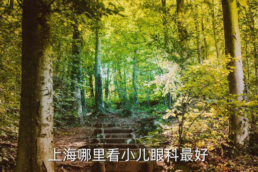 上海哪里看小兒眼科最好