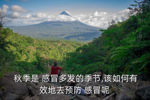 秋季感冒,寶寶秋天感冒怎么辦?按摩頭部可預防病毒侵襲
