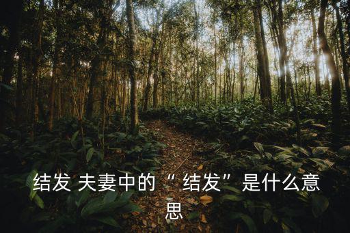  結(jié)發(fā) 夫妻中的“ 結(jié)發(fā)”是什么意思