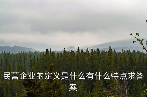 私營企業什么意思，民營企業是什么意思請教
